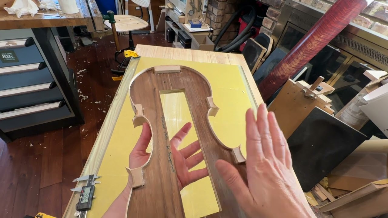 LIVE 📽🎻 my favorite tricks wile Flattening ribs 🌻Girasole
