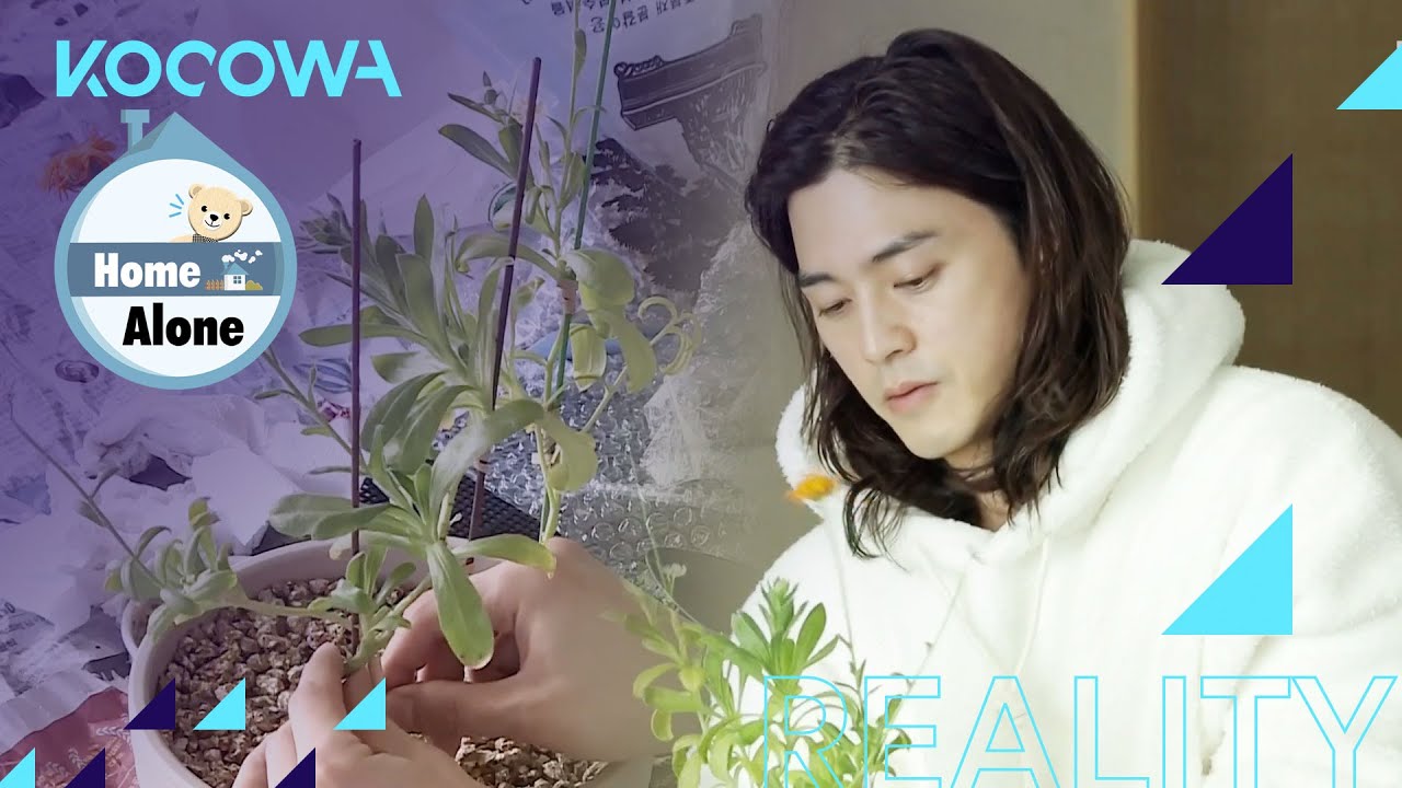 Kim Ji Hoon is repotting his plant [Home Alone Ep 387]