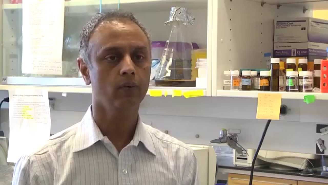 The Human Genome Project