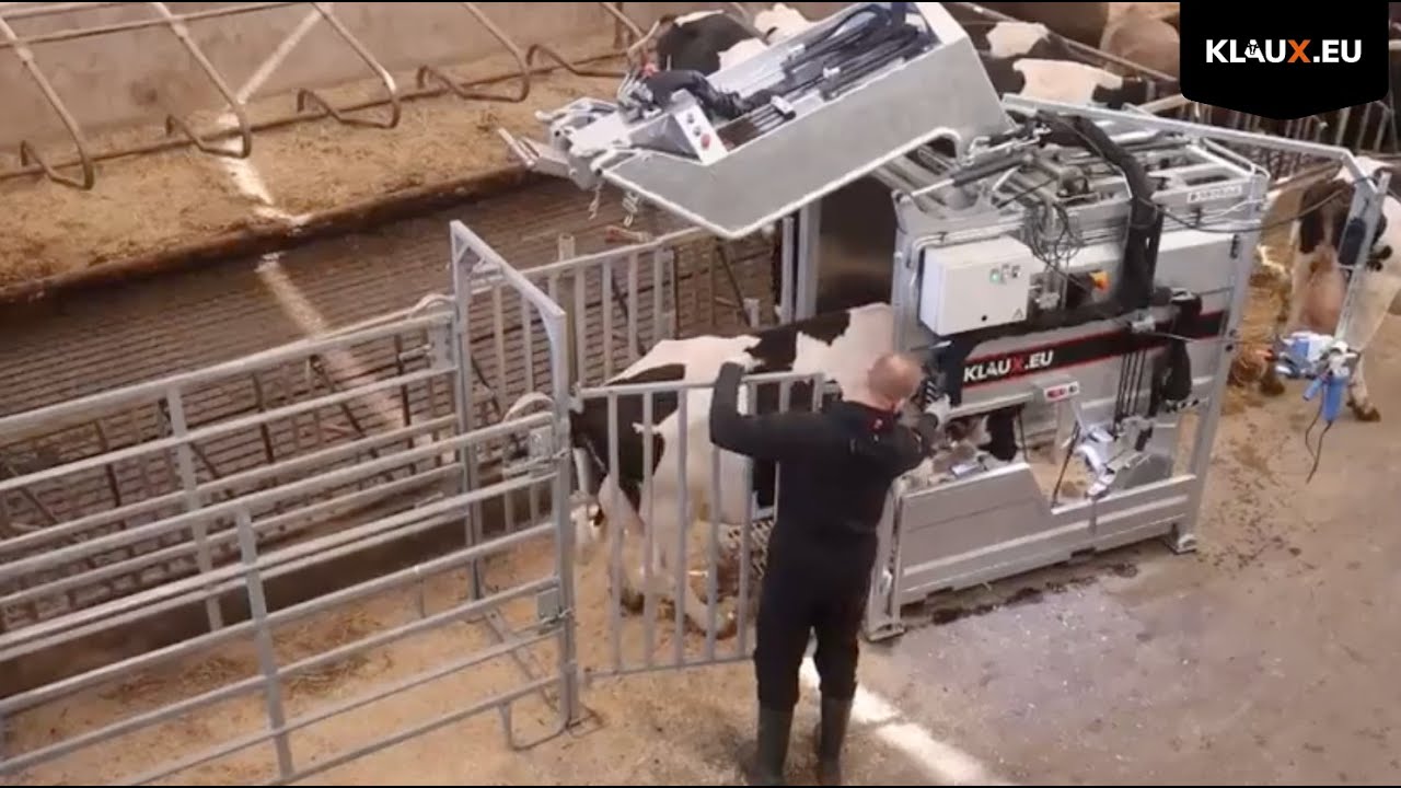 KLAUX.EU Chrome Hoof Trimming Chute