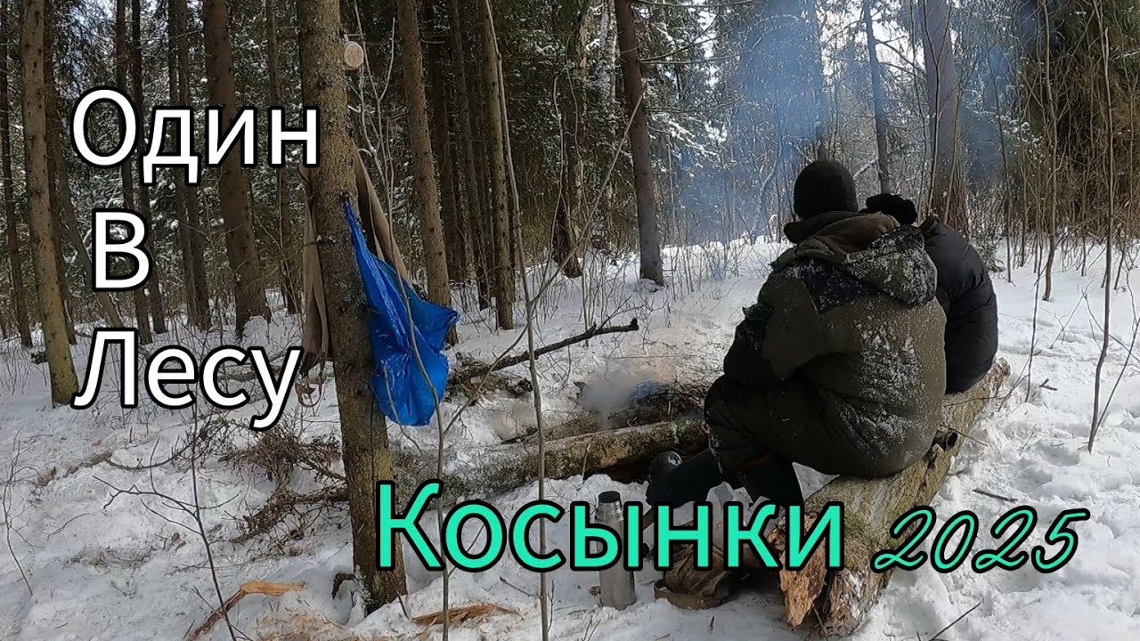МОРОЗ - 20. ПОКЛЕВКА ЗА ПОКЛЕВКОЙ. РЫБАЛКА НА КОСЫНКИ 2025. ОДИН В ЛЕСУ.