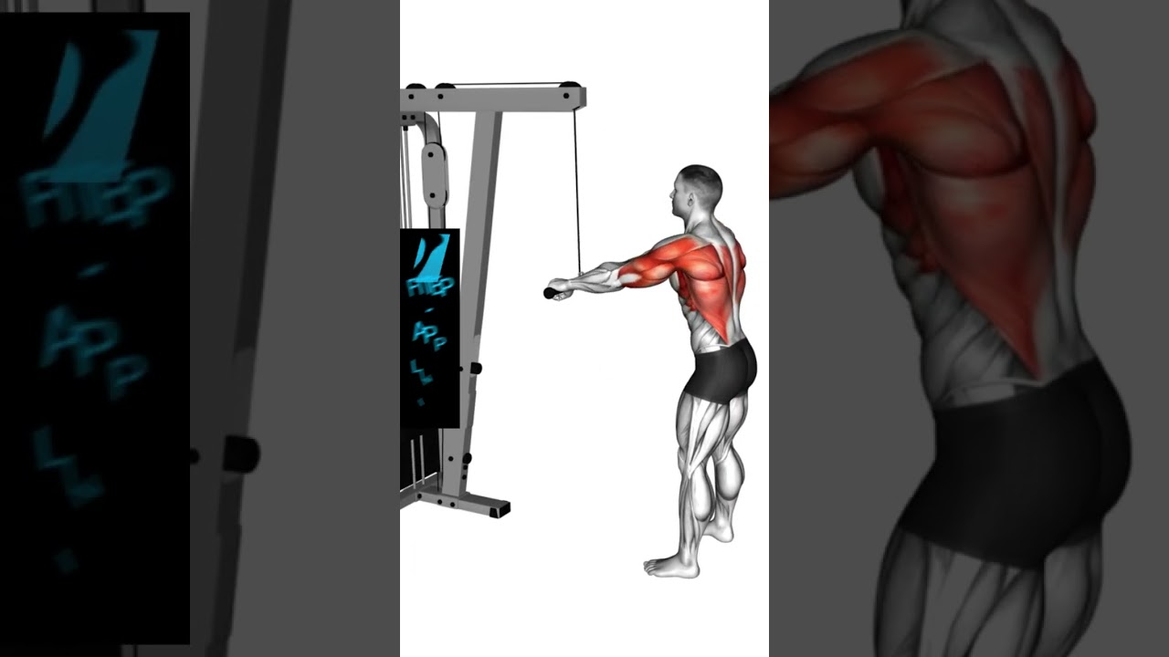 Mit diesen &Uuml;bungen bekommst du einen breiten R&uuml;cken - R&uuml;cken Training #r&uuml;ckentraining #trainingsplan