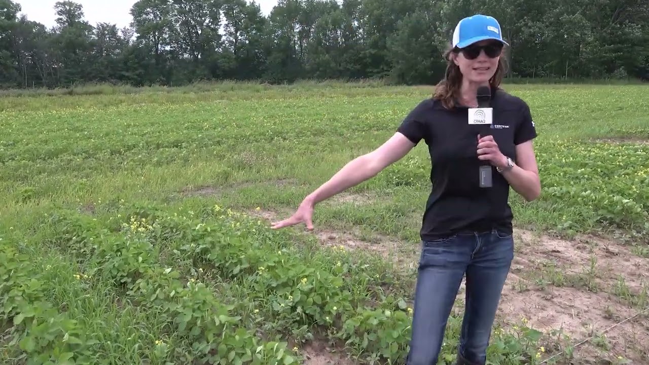 Les différents systèmes de technologies dans le soya : comment éviter les erreurs?