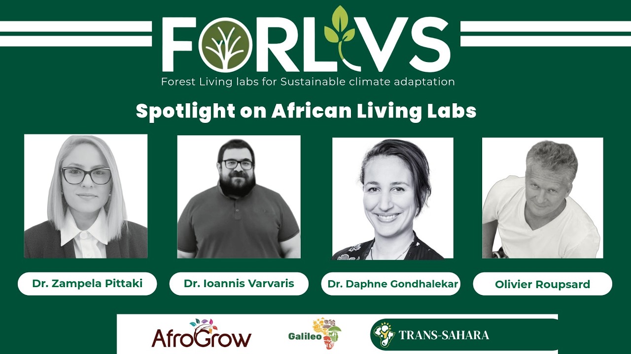 Discovery webinar FORLIVS - African living labs