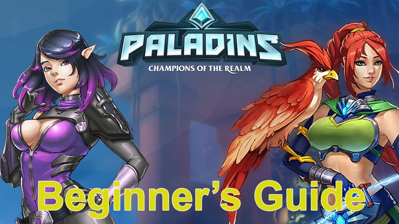 How to Play Paladins: Champions of the Realm - A Beginner's Guide