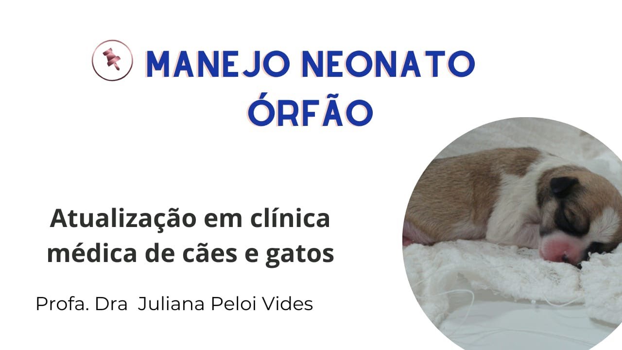 MANEJO NEONATO ÓRFÃO