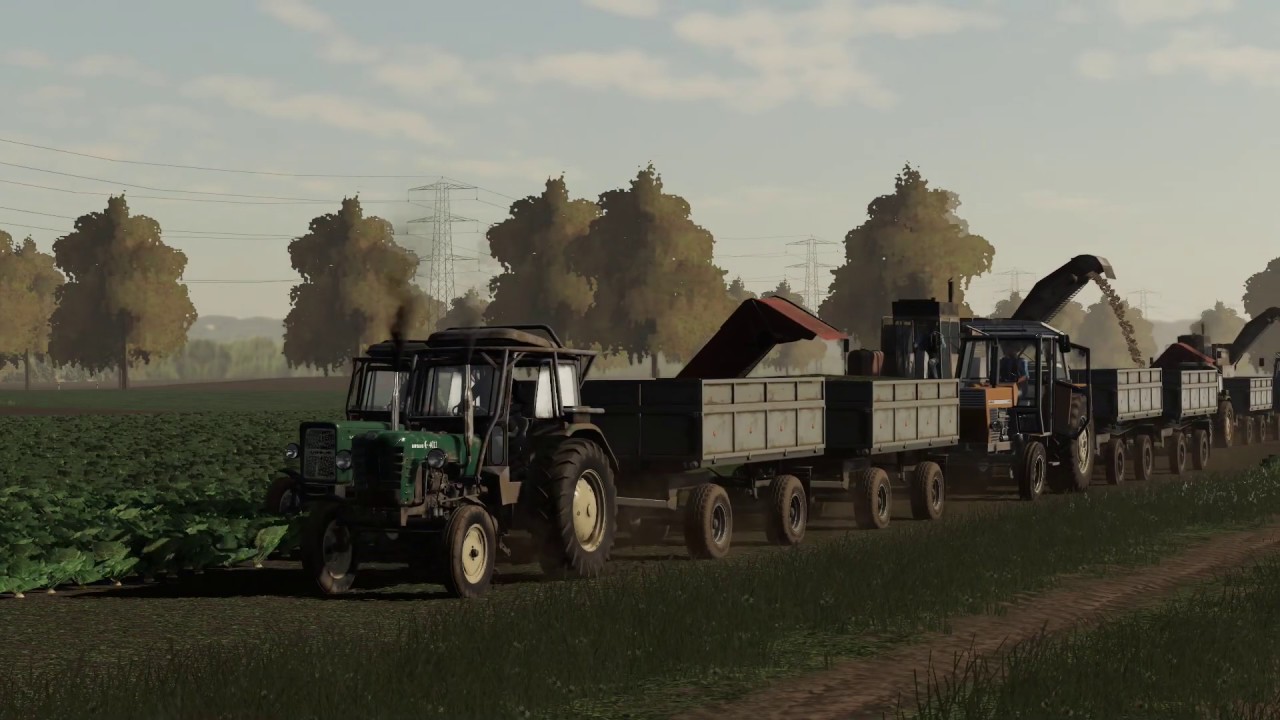 Kopanie buraków w PGR - Farming Simulator 19 - Metoda dwuetapowa - Zbiór buraków cukrowych
