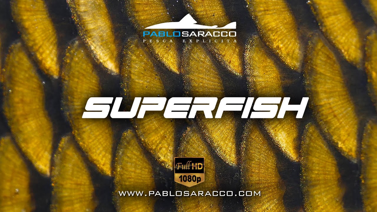 Superfish . Pesca de carpas con mosca.