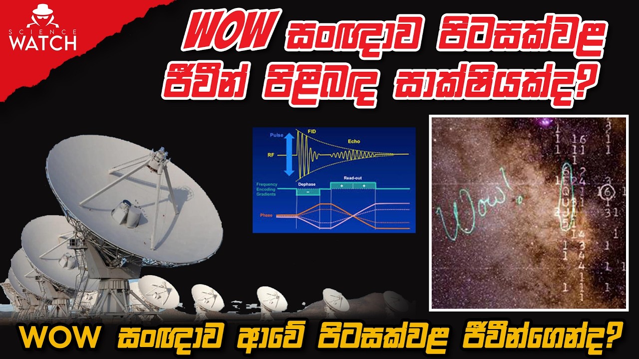 WOW සංඥාව; පිටසක්වළ ජීවීන් පිළිබඳ සාක්ෂියක්ද ? WOW සංඥාව ආවේ පිටසක්වළ ජීවීන්ගෙන්ද ? | Science Watch