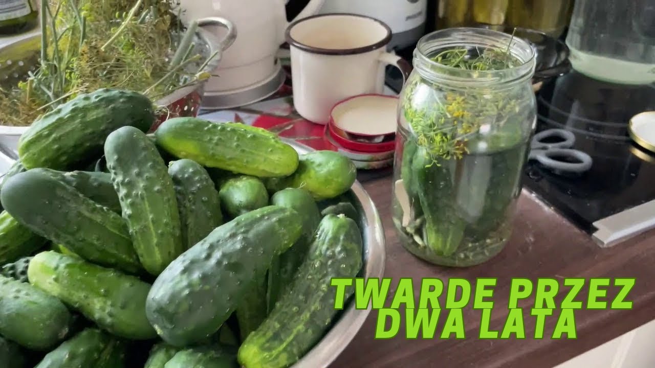 Przepis na pyszne ogórki kiszone