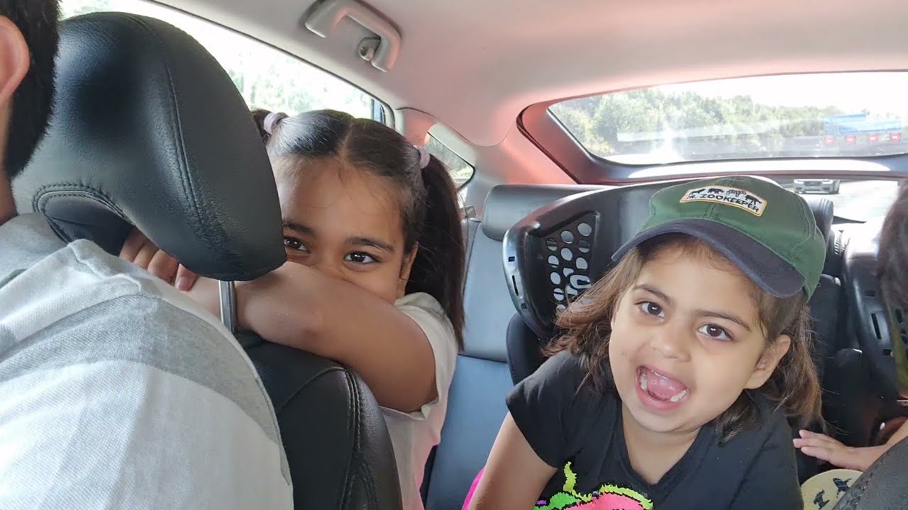 OPEN JUNGLE SAFARI LONDON - Dangerous & Wild Animals