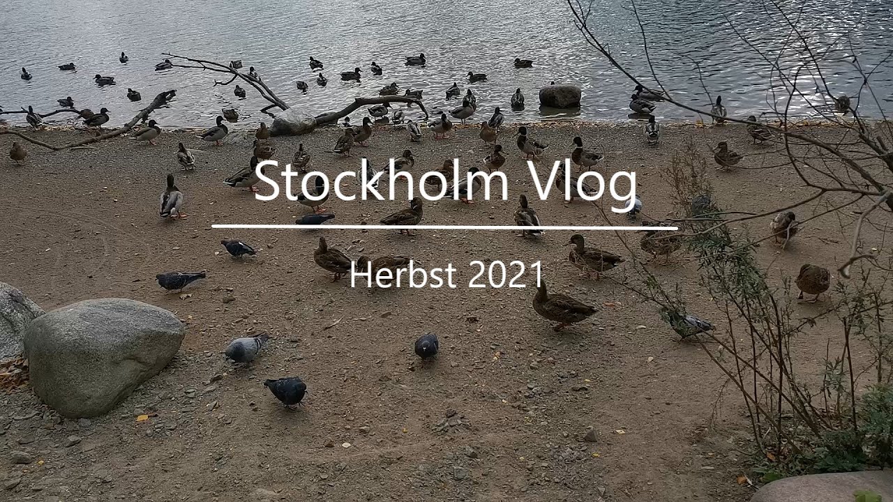 Endlich wieder im Urlaub | Stockholm-Vlog