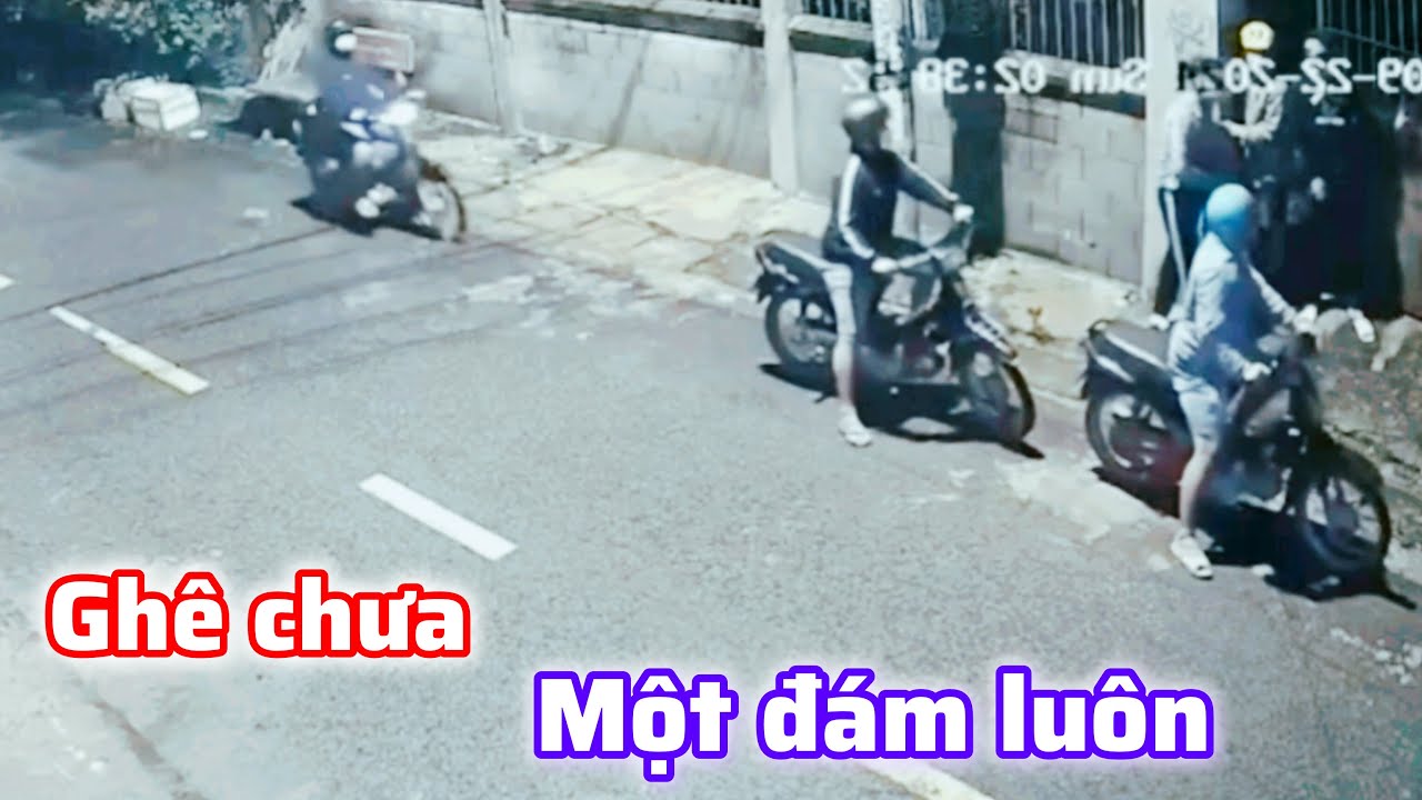 Đi ăn trộm mà nó đi bao nhiêu thằng nè trời quá nguy hiểm cho chúng ta