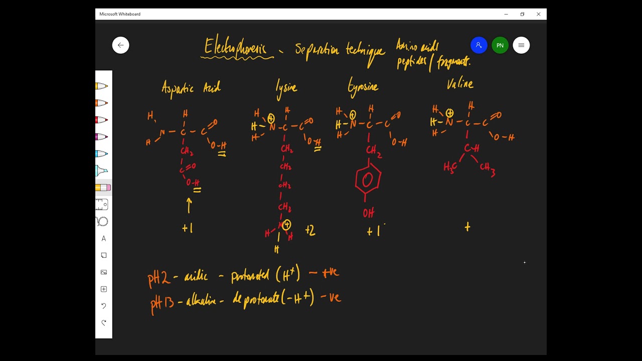 Electrophoresis, A Level Chemistry