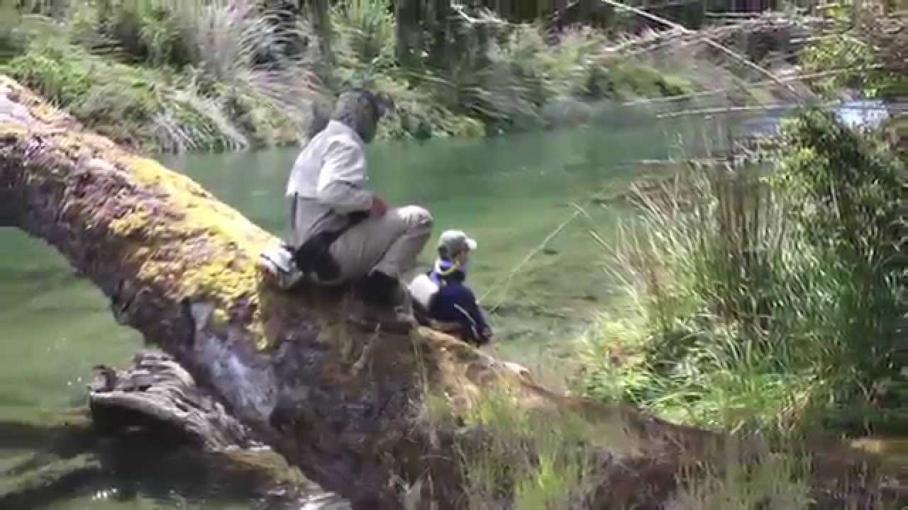 Paloma River Lodge, Coyhaique, Chile