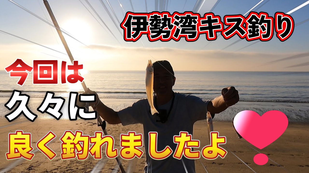 三重県のキス釣り、やっと調子がで出てきましたよ！