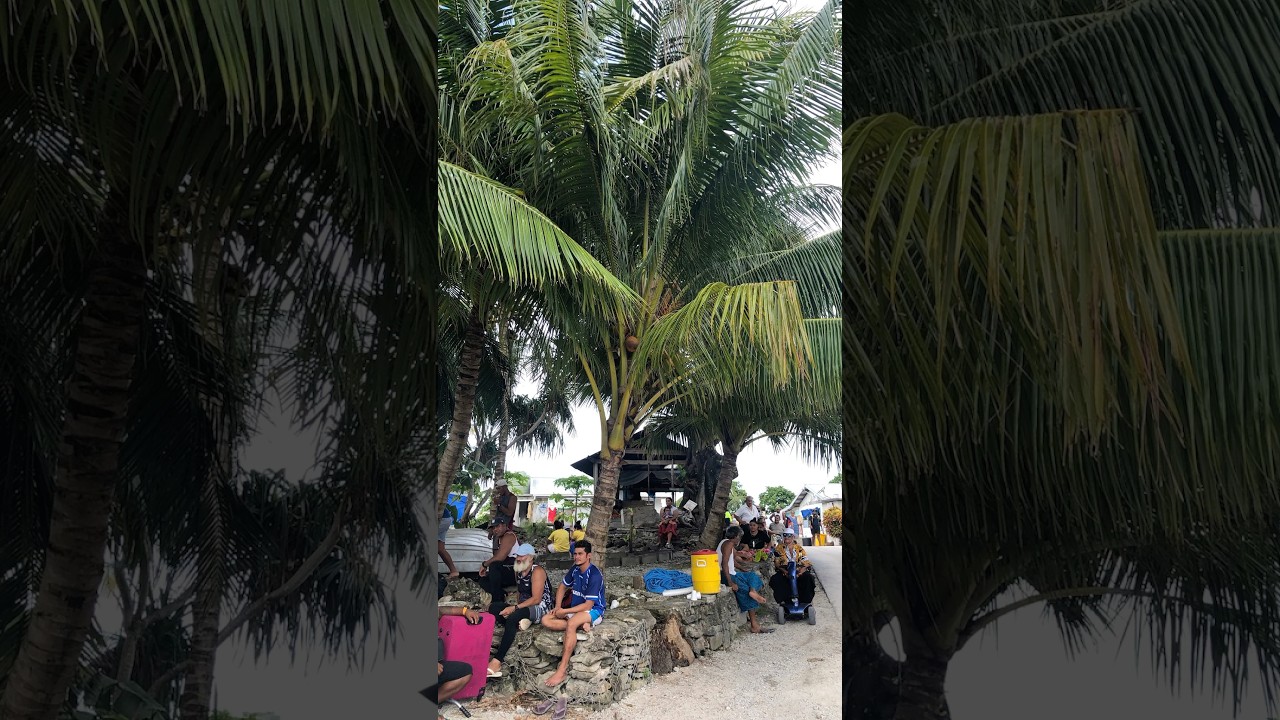 TOKELAU - SOUTHERN PACIFIC, MY FIRST DAY IN THE ISOLATED ISLAND COUNTRY !!  #tokelau #shorts