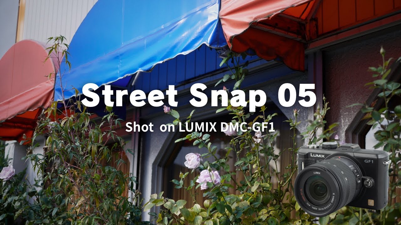 Street Snap 05 / Shot on LUMIX DMC-GF1 / Photowalk in 寝屋川市