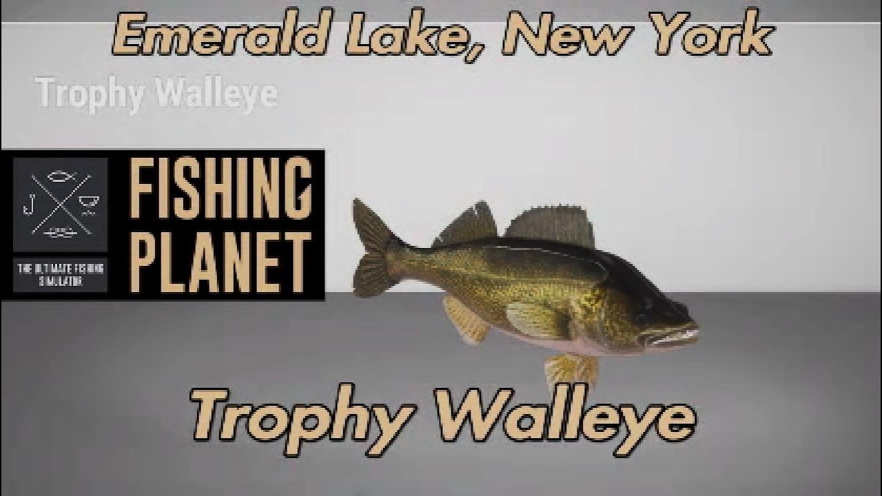 Путеводитель по рыболовной планете Trophy Walleye на озере Эмералд в Нью-Йорке
