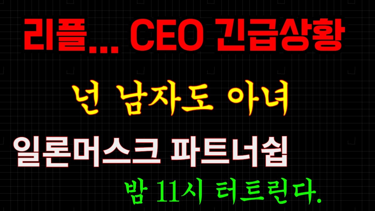 리플 CEO 긴급상황.;;  일론머스크 파트너쉽 터진자 밤 11시 오픈 예정... #비트코인 #xrp #이더리움