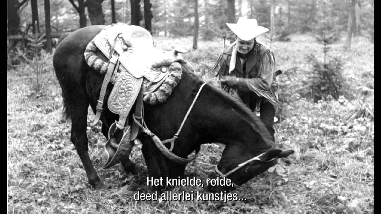 DE NEUS VAN PINOKKIO - Het paard van Zorro