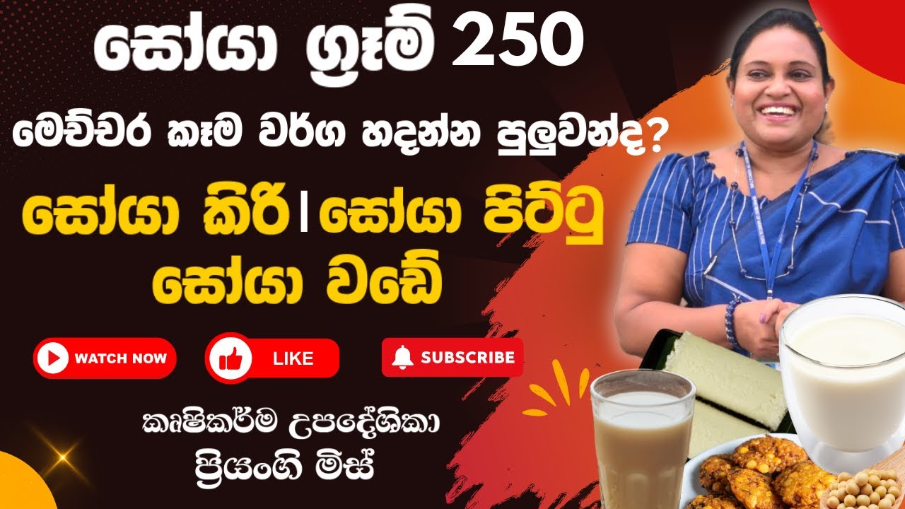 සෝයා ග්‍රෑම් 250  මෙච්චර කෑම වර්ග හදන්න පුලුවන්ද සෝයා පිට්ටු | සෝයා කිරි | සෝයා වඩේ | SOYA