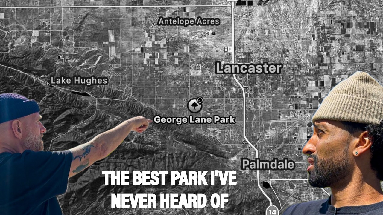 Скейтпарк Палмдейл