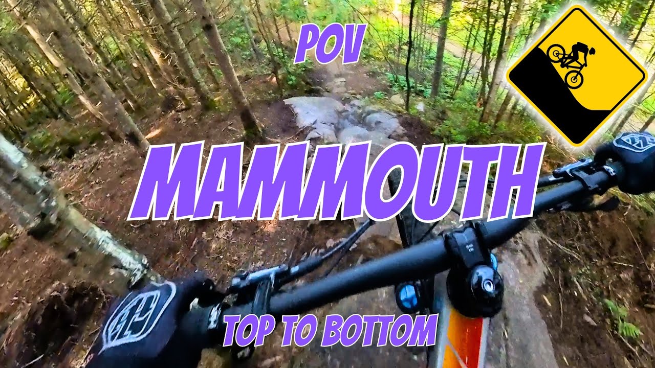 MAMMOUTH - Sentiers du Moulin - POV - TOP TO BOTTOM
