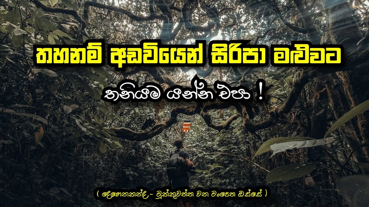 තහනම් අඩවියෙන් සිරිපා මළුවට | Off season Sripada Hiking | දෙහෙනකන්ද මූක්කුවත්ත වන මංපෙත ඔස්සේ