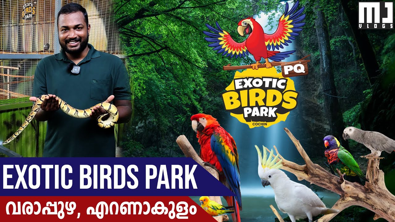 Exotic Birds Park Varapuzha, Ernakulam | MJ Vlogs