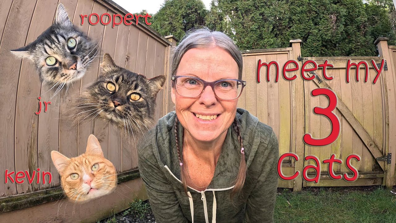 Meet My 3 Cats | Outdoor Adventure | Pets Animal Lover | vlog 4k