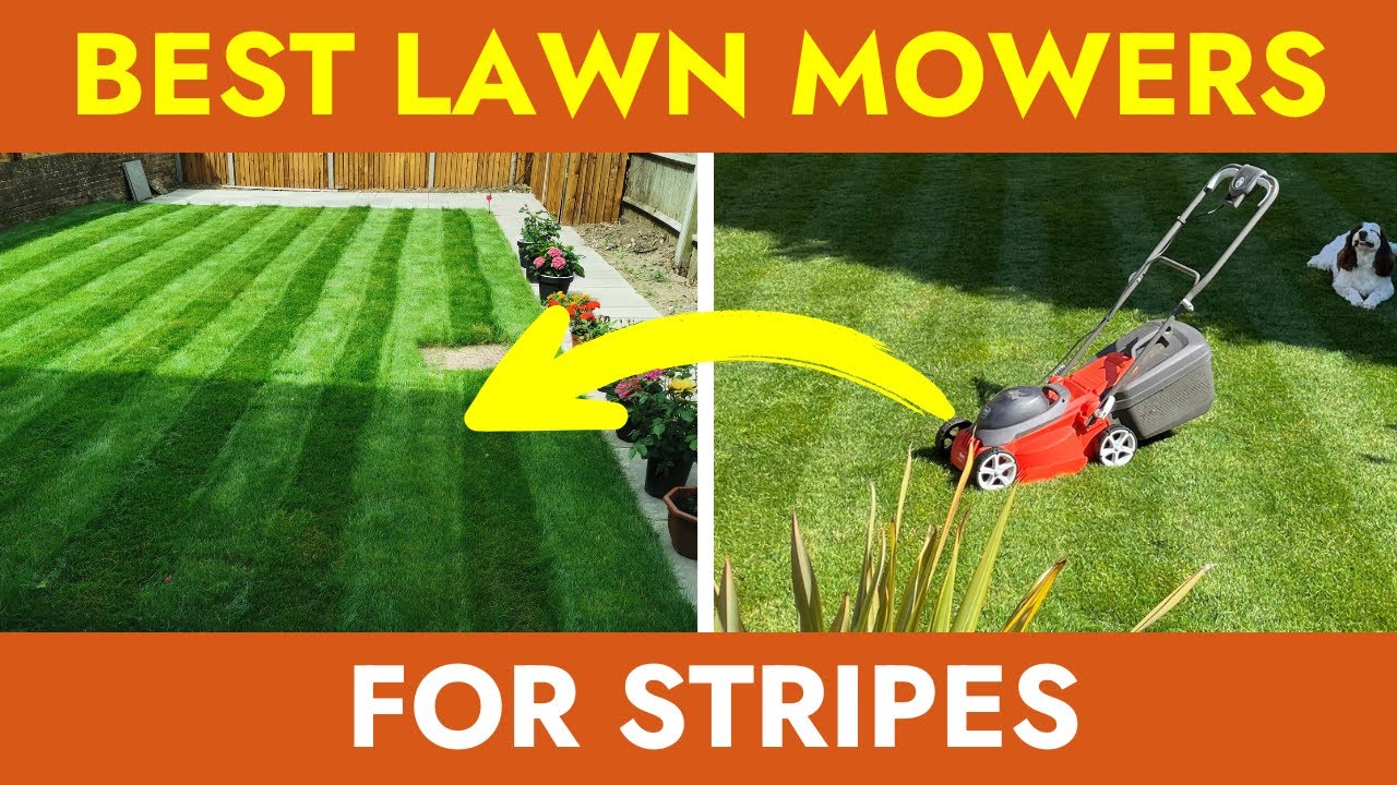 4 Best Lawn Mower for Stripes | Top Models for 2026 with a Rear Roller!