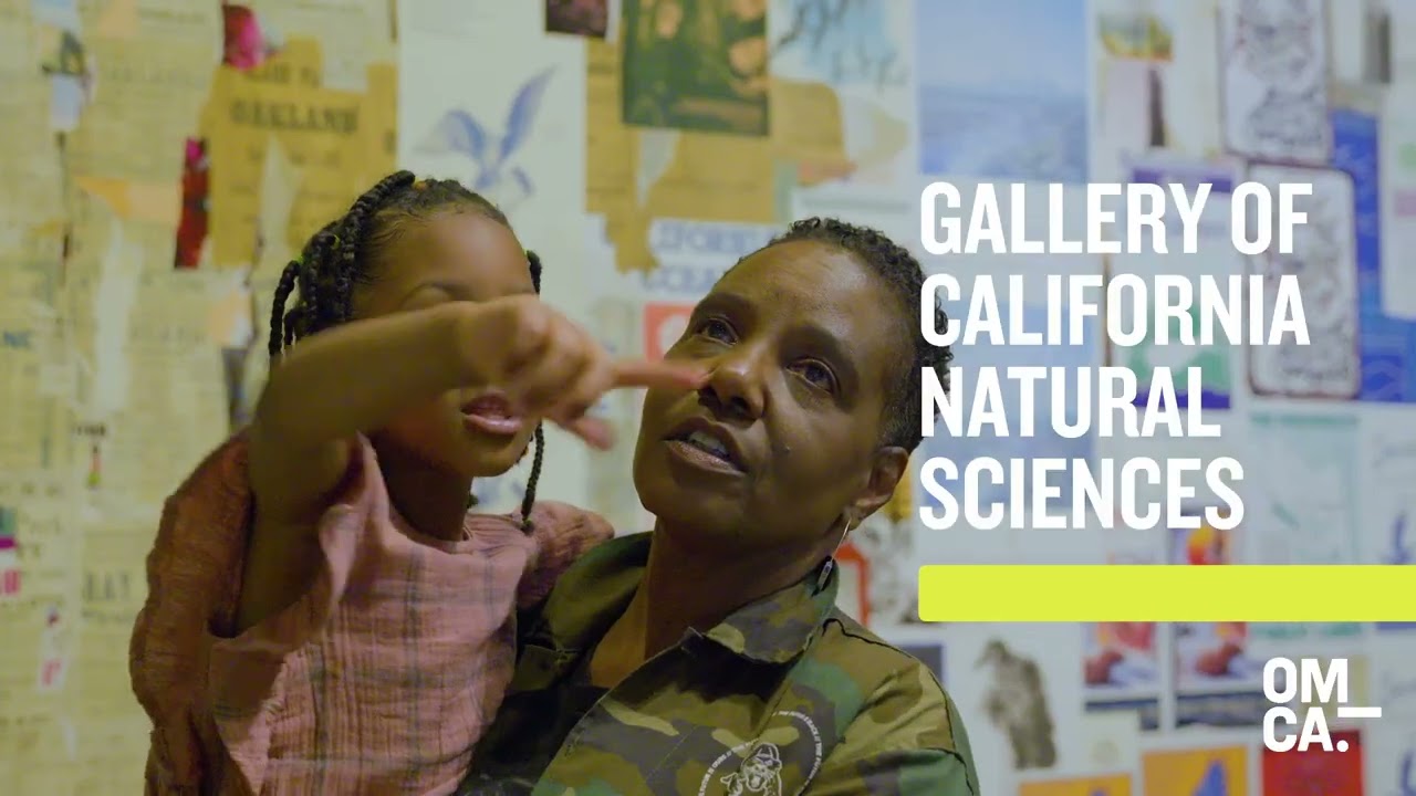 Gallery of Natural Sciences at OMCA