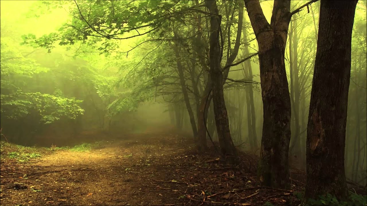 David Helpling & Jon Jenkins - Only Ashes