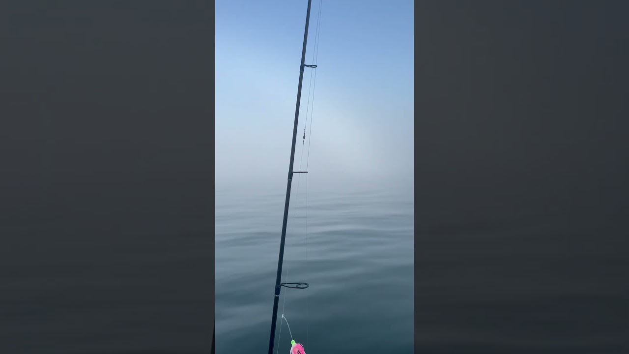 Keeper fluke on the ocean eagle 5 #fishing #sheepsheadbay #fluke #oceanfishing #nyc #brooklyn