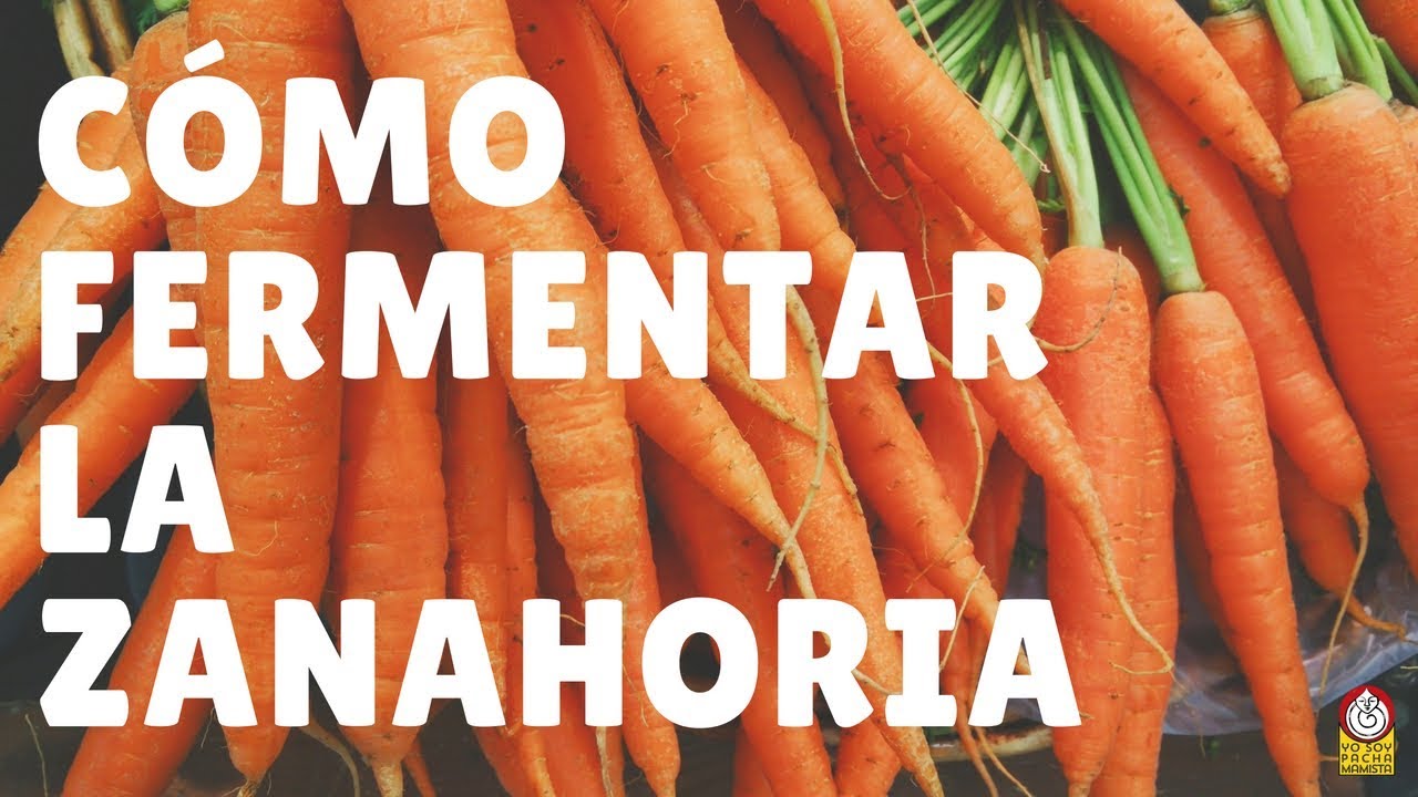 Cómo fermentar palitos de ZANAHORIA (una receta muy buena para niños)