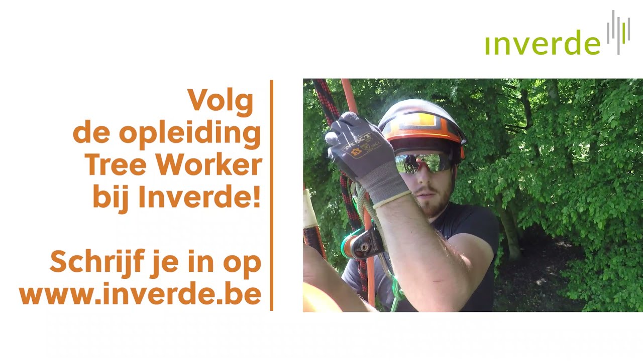 Hoe word ik boomverzorger? - Treeworker opleiding Inverde