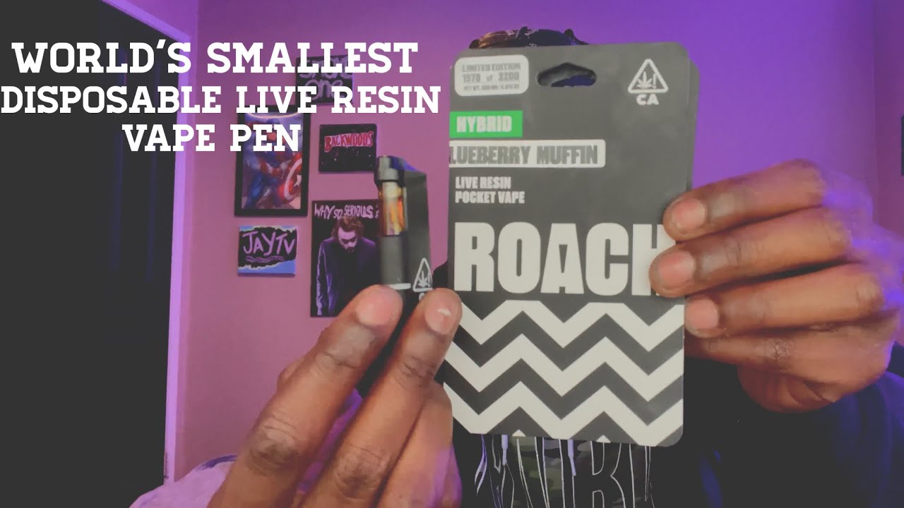 The Worlds Most Smallest Disposable Live Resin Vape Pen The 