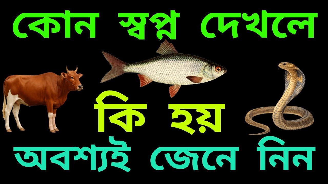 কোন স্বপ্ন দেখলে কি হয় জেনে নিন | kon sopner ki mane | kon sopner ki bekkha