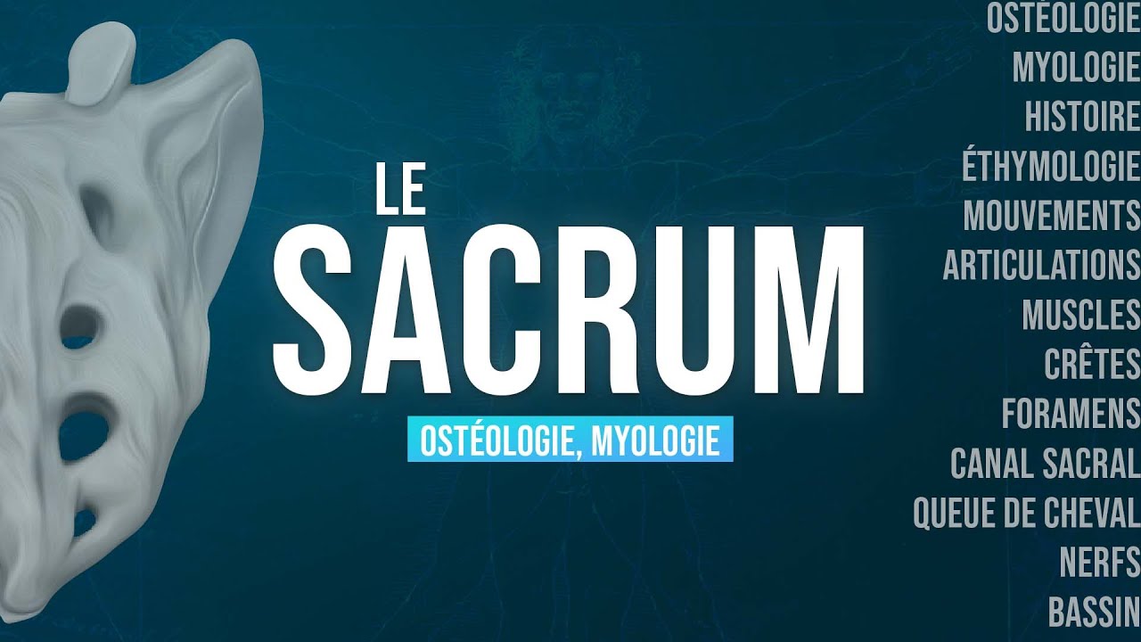 Le SACRUM en 5 MIN  🦴