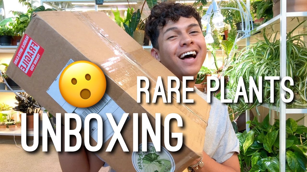 The Green Escape Rare Houseplant Unboxing! Etsy Plant Store!