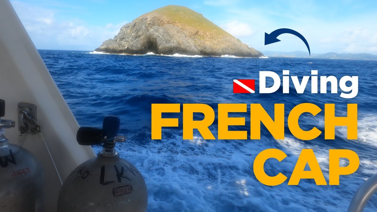 Scuba Diving a Tiny Island!  (South of St. Thomas | St. John)