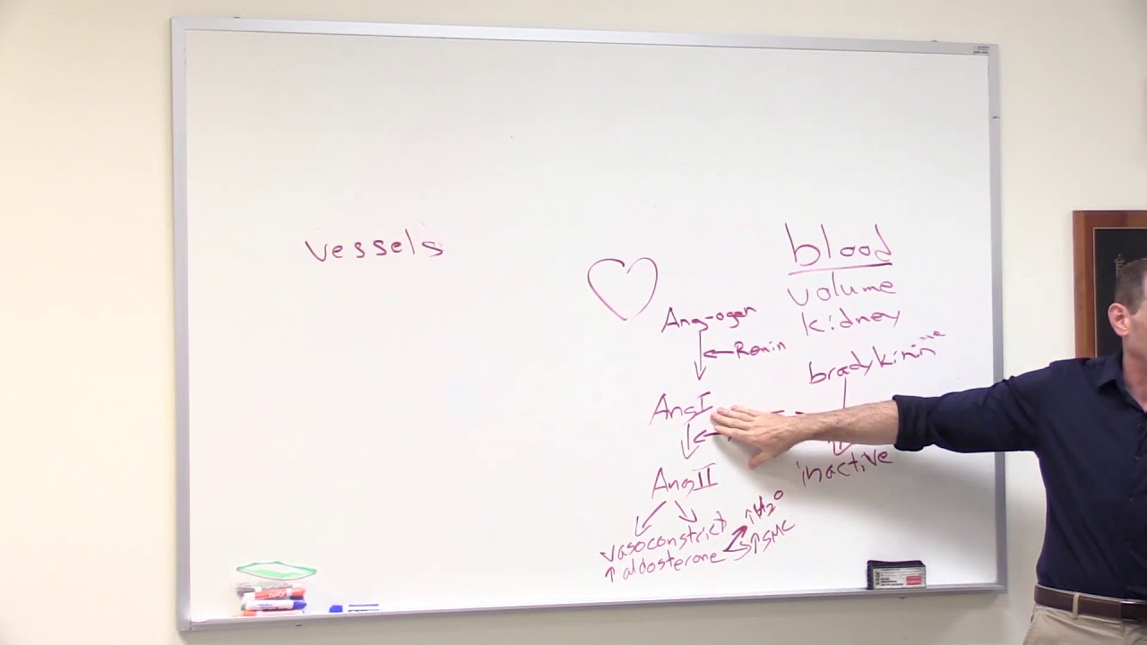 Introduction to Cardiovascular and Blood Pressure - Full | Nursing | Pathophysiology Pharmacology 2