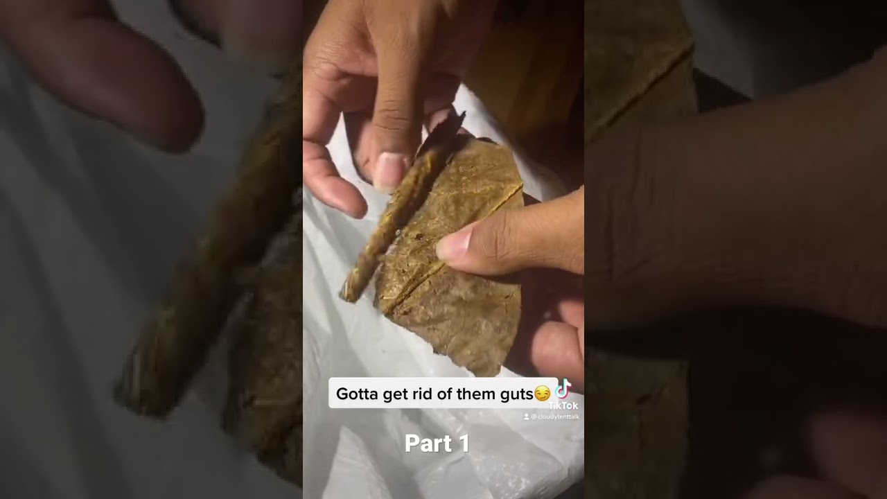 How to Clean a Backwood🎓
