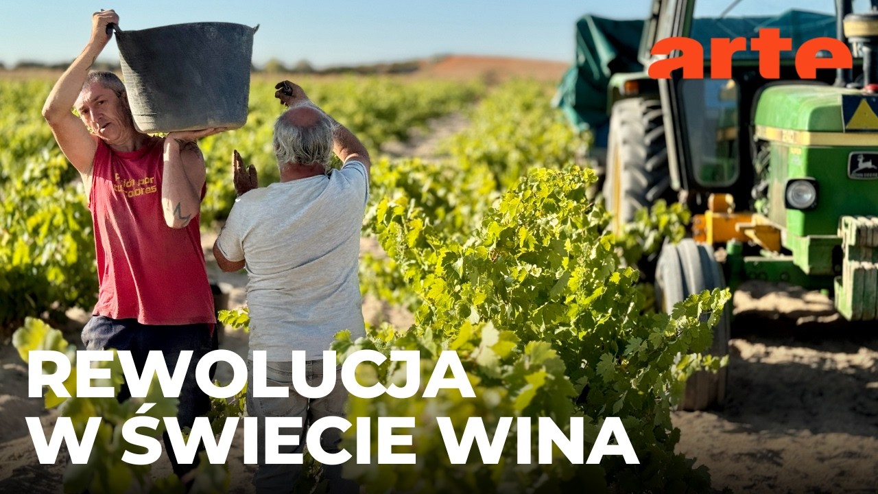 Bezalkoholowa rewolucja w świecie wina | ARTE.tv Dokumenty