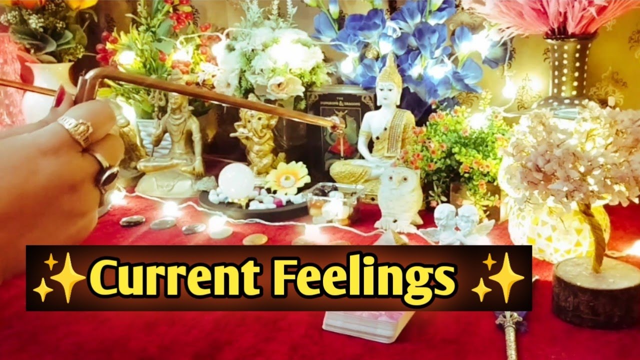 ✨🌿Current Energy Update🌿✨Messages From Your Person💚 Timeless Tarot Reading🌈