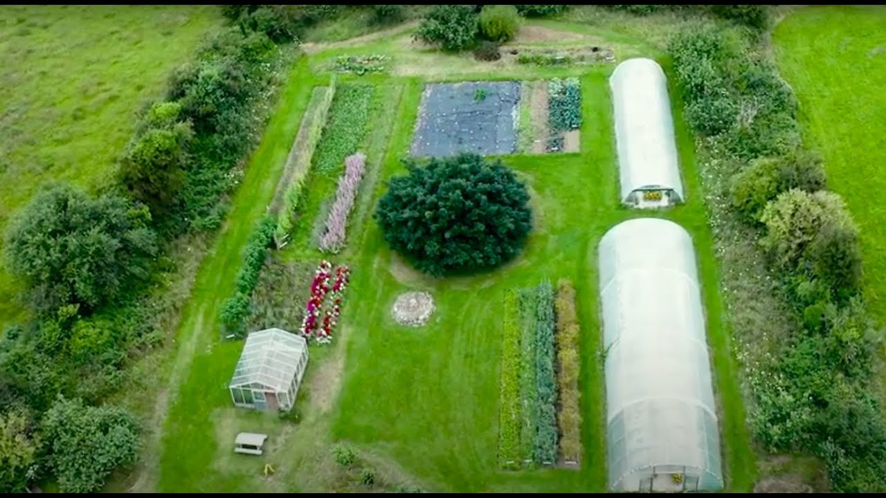 Soil, Seed and Sustainability - A Farm Tour of Irish Seed Savers