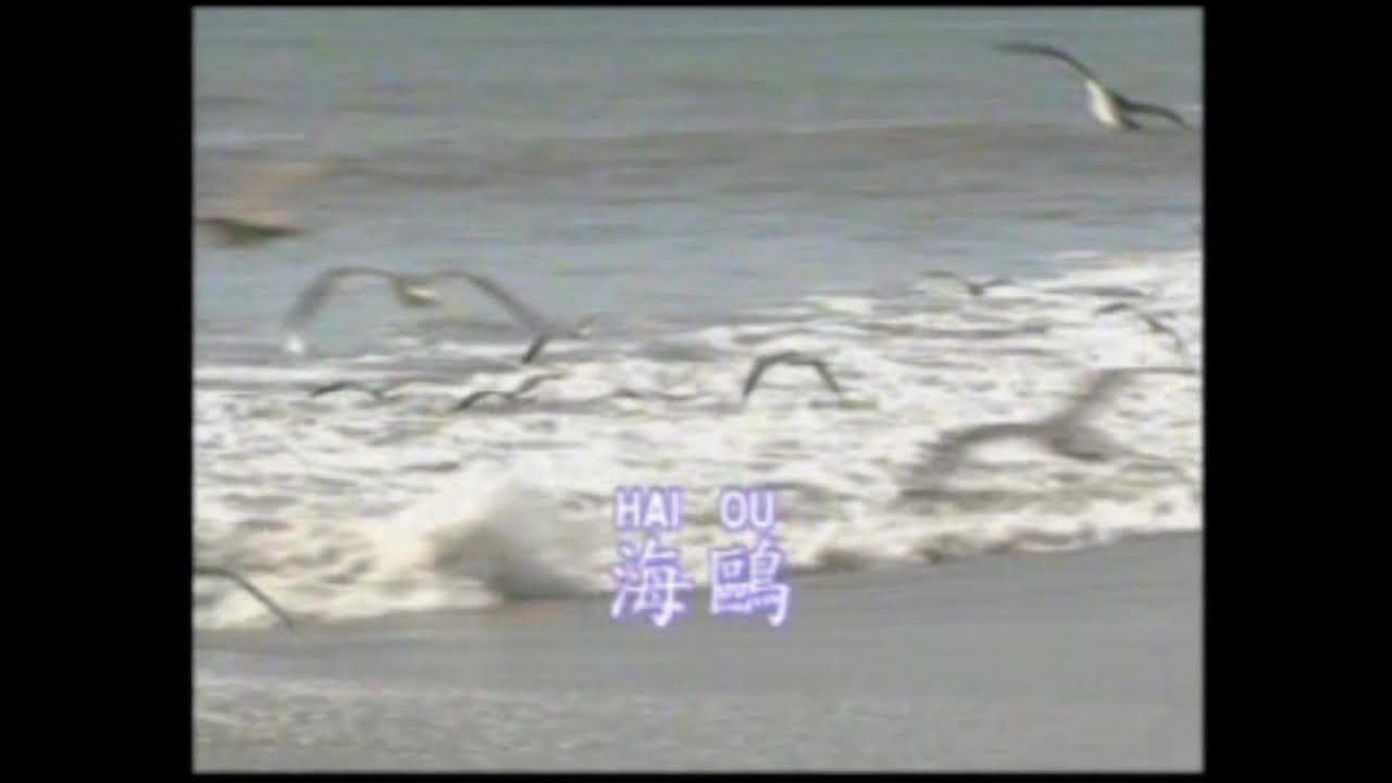 刘家昌 - 【金典名曲】 海鸥 【歌词】