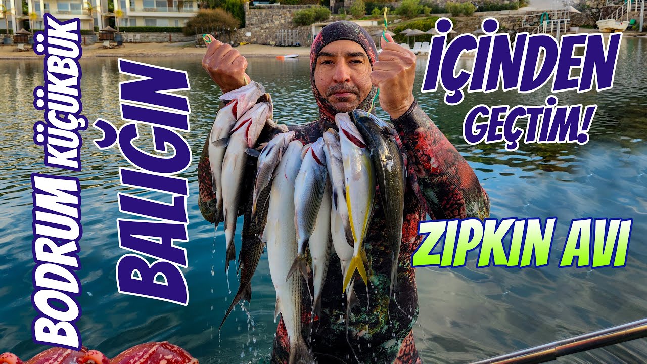 🔱 Ekim Ayının Sonunda BODRUM'da balığın içinden geçtim 🔱-4K- End of October Spearfishing Bodrum 2025