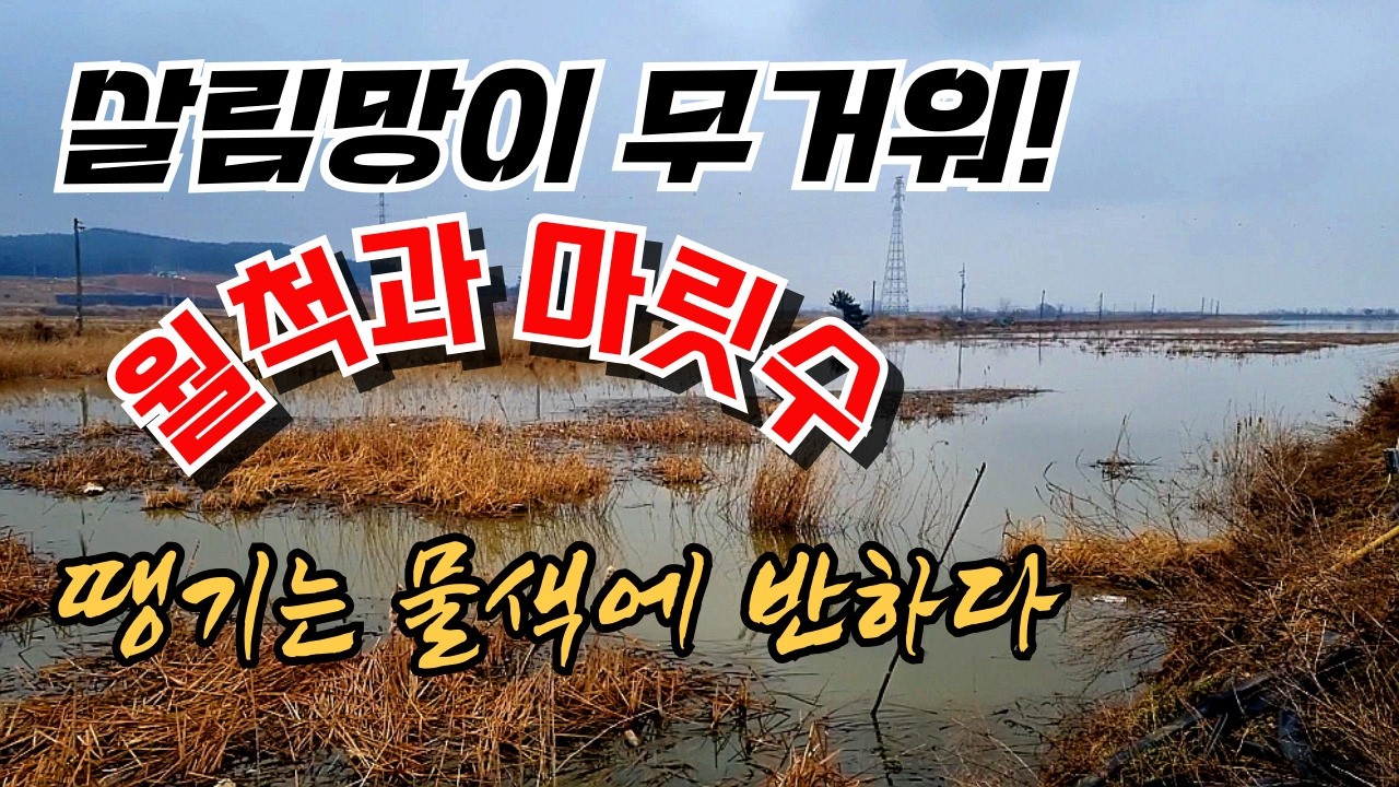 올해 첫 대박친 수로 들기 힘든 살림망 #fishing #낚시
